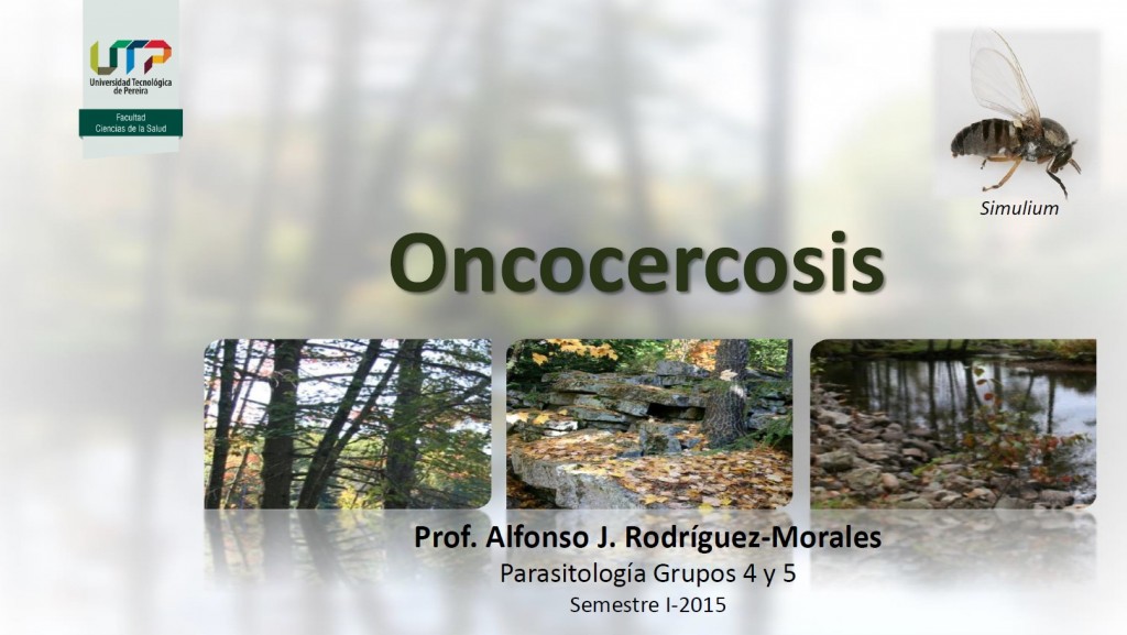 clase11_oncocercosis