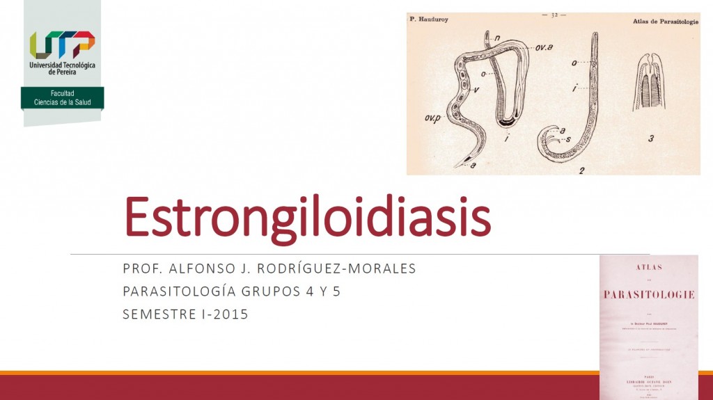 clase6_strongyloides