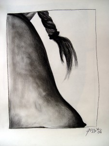 DS11